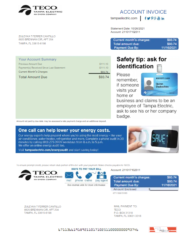 USA TECO utility bill Word and PDF template